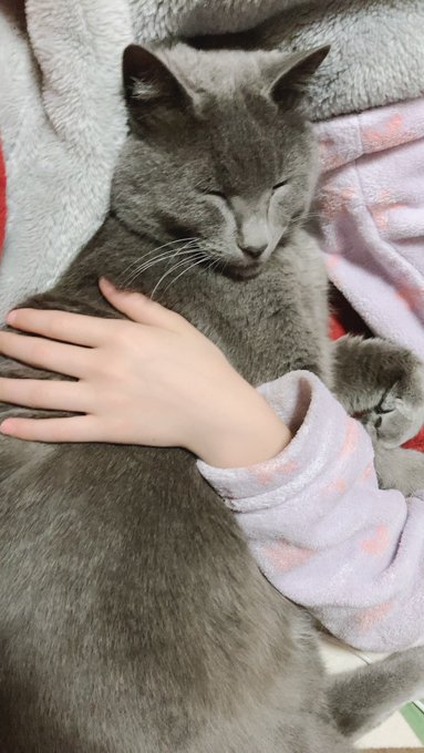 Twitterのコスプレ画像38