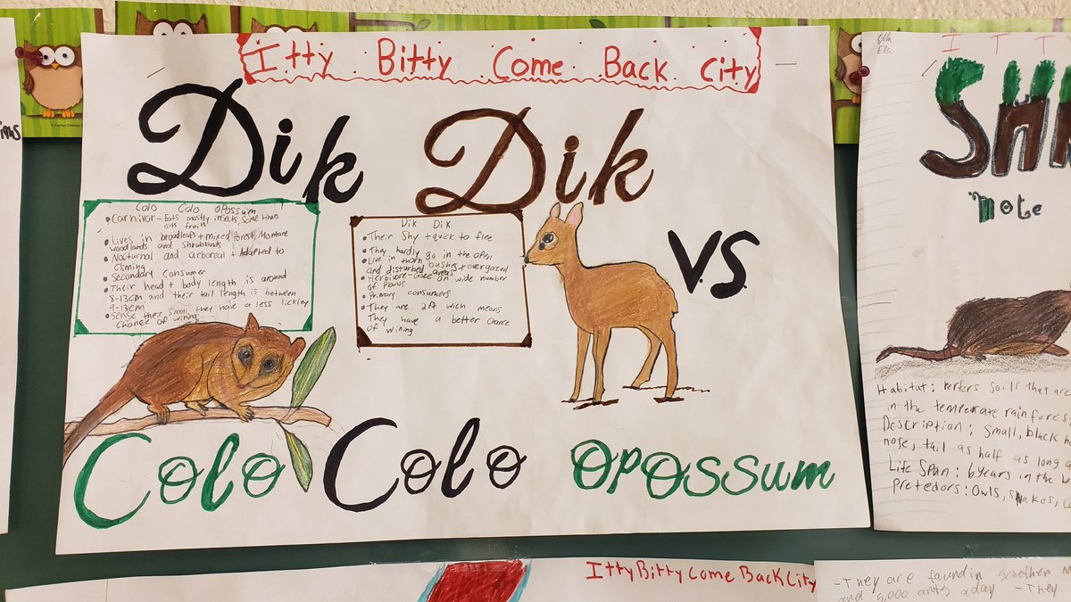 MrsWill77's tweet photo. MMM2023 Hype posters for Round 1 ...part 2 #twolves7pride https://t.co/W3vLsWjMhv