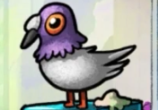 DumpsterDorks's tweet photo. Which Dork out there knows the name of this bird....or rather "boird"?

#Dorkout https://t.co/5bH6o0OKIW