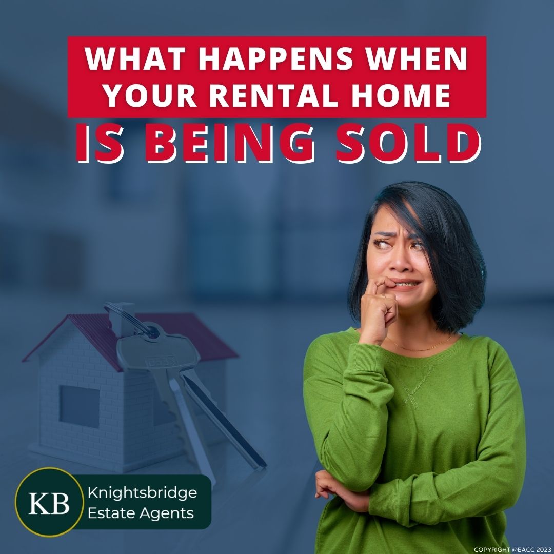 ‼️ What happens when your rental property is being sold ‼️

The first thing is to try not to panic 🫤 - our handy guide tells you about your rights, recent reforms in legislation mean you are more protected than ever!

ow.ly/KjUP50NgCQ5