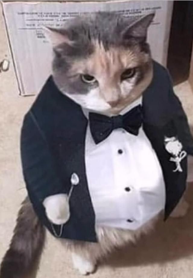 cwnibalismo's tweet image. - thread de shapes masc que eu tenho salvo e acho extremamente atraentes parte 2!