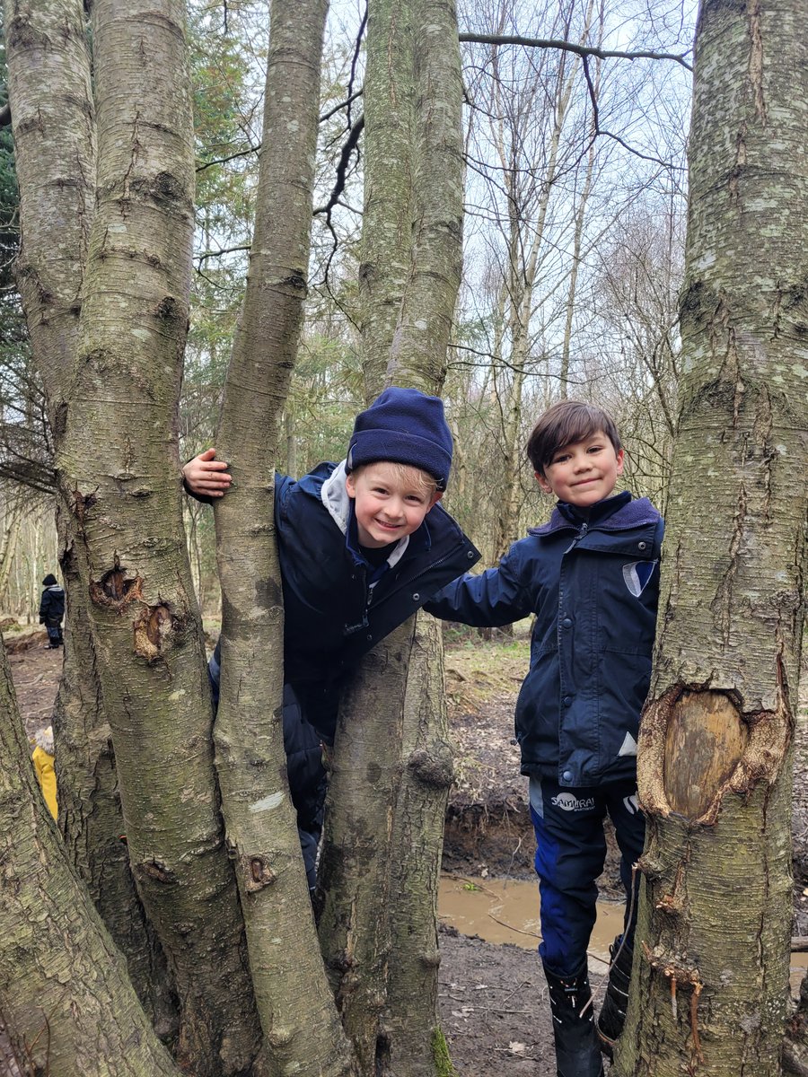 NSB_Boys's tweet photo. Our Reception and Year 1 boys have had an amazing Forest School experience today! Thank you so much @forestschoolNE https://t.co/sHsd1xHDbB