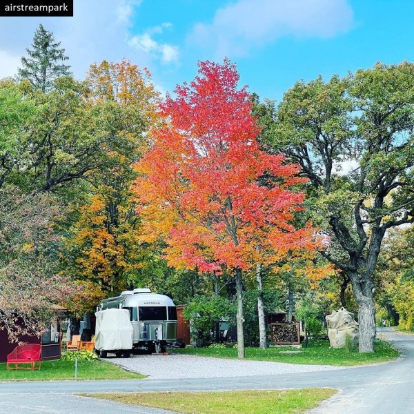 restrelaxroi's tweet photo. ✨Resell - We design and manage campaigns to get more repeat business from existing customers.
👉https://t.co/0hzSAn9eCK
#digitalmarketing #rvpark #rv #rvmarketing #marketing #marketingagency #rvparketing #rvparkmarketing #RnRROI #restrelax #rvresort https://t.co/a4fHJyvob9