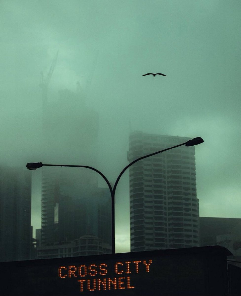 David Sark tweet media