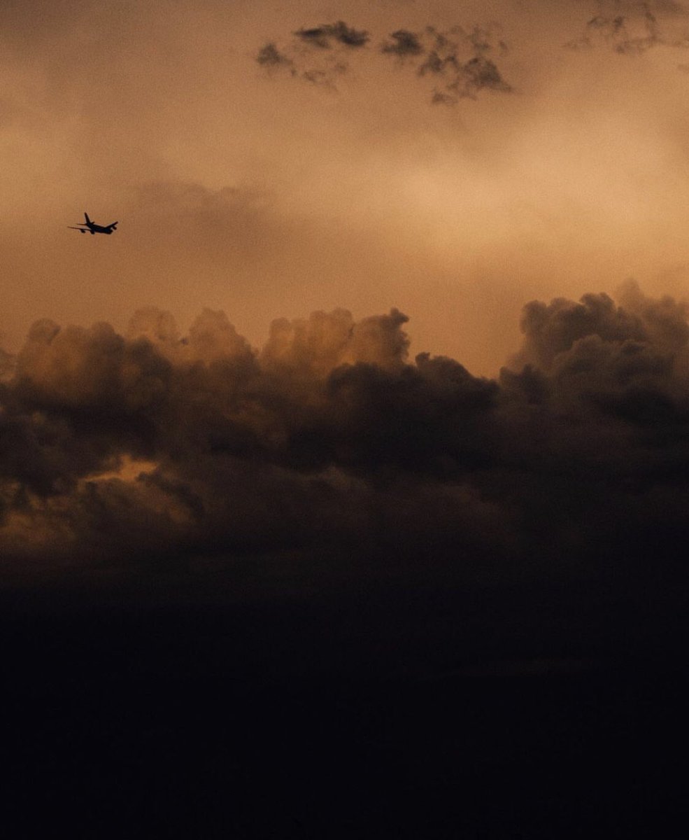 David Sark tweet media