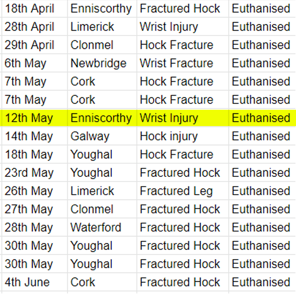 On this day last year, a greyhound suffered a wrist injury at #Enniscorthy track and was killed by a track vet banbloodsports.wordpress.com/2022/02/27/32-… #Ireland #BanGreyhoundRacing