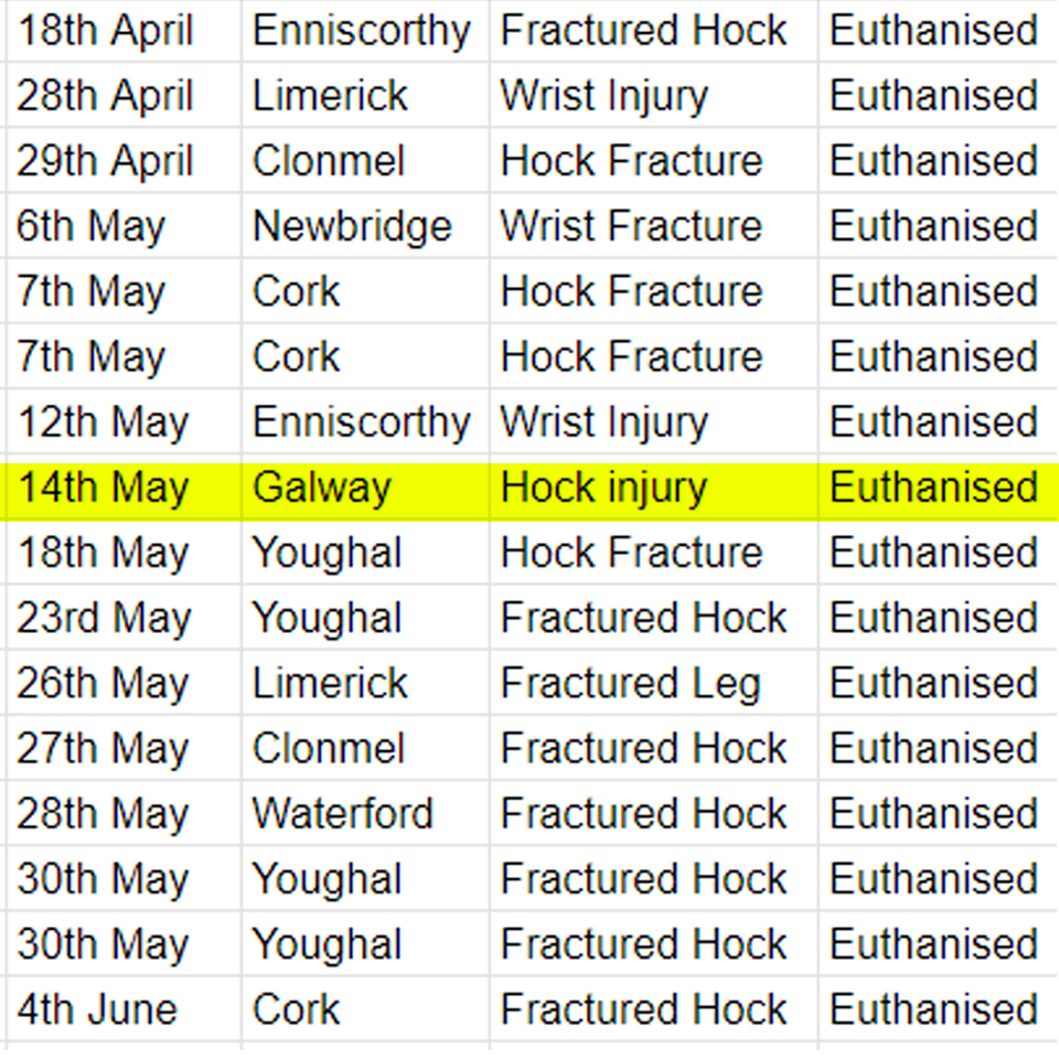 On this day last year, a greyhound suffered a hock injury at #Galway stadium and was killed by a track vet banbloodsports.wordpress.com/2023/02/27/21-… Don't go greyhound racing. #Ireland #BanGreyhoundRacing