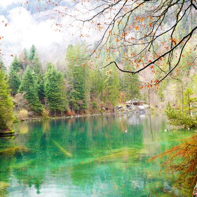 Futu100u tweet media