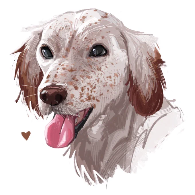 Comm  