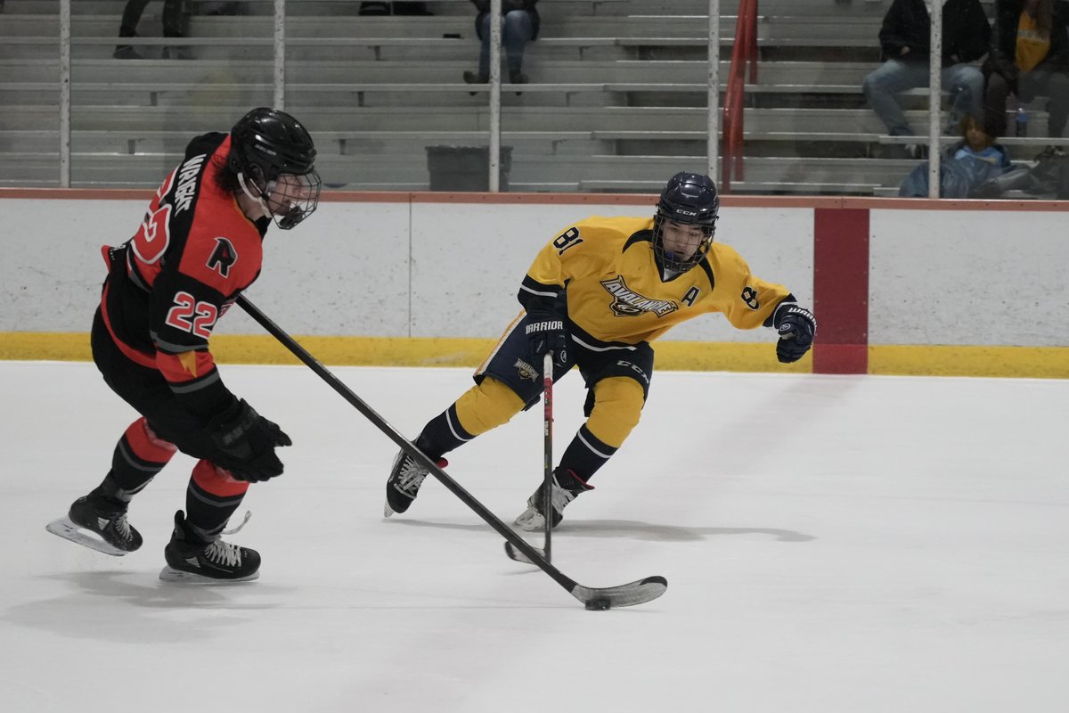The_AYHL's tweet photo. Final day of action at Ice House, where two series pushed to game three in the 14U and 15O divisions. Proud of how our teams performed! https://t.co/xdWVGN3t0r