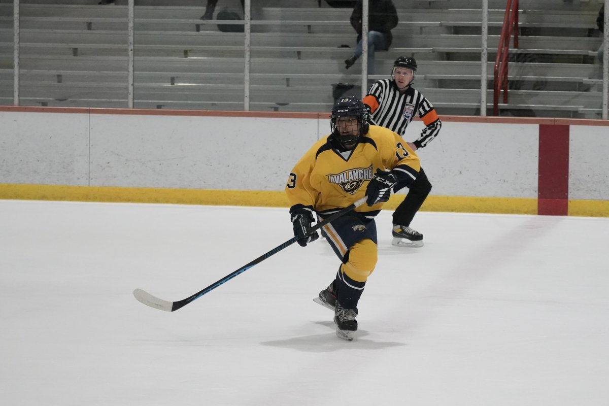 The_AYHL's tweet photo. Final day of action at Ice House, where two series pushed to game three in the 14U and 15O divisions. Proud of how our teams performed! https://t.co/xdWVGN3t0r