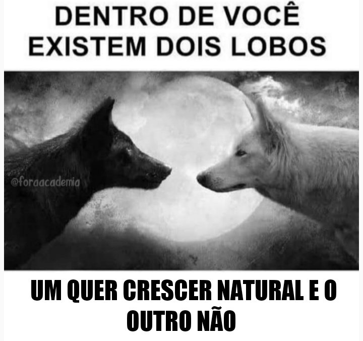 academia fora de contexto (@foraacademia) on Twitter photo 