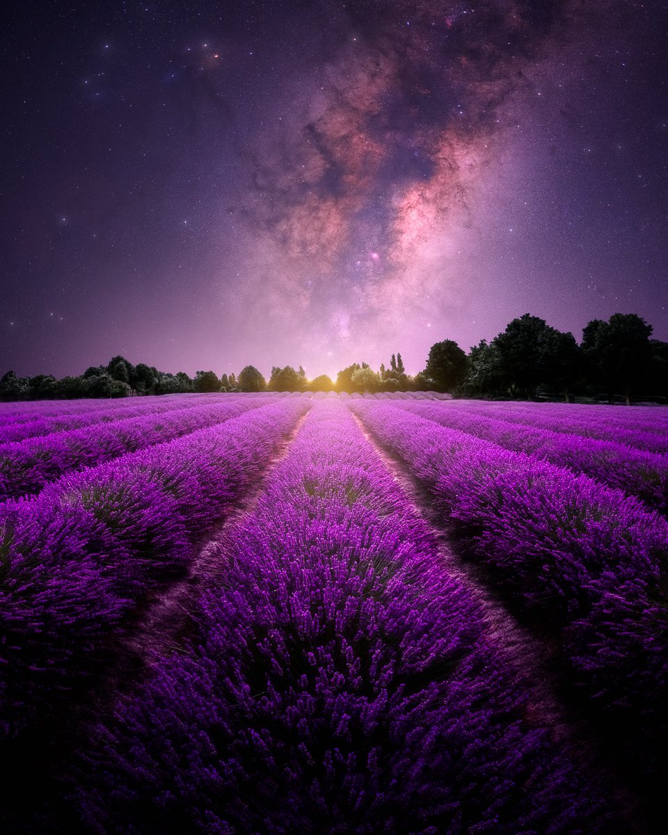 shadowanshadenz's tweet photo. GM. brand new hot off the press.

Chasing more interesting foregrounds in 2023 💜 https://t.co/5XcOU5UfL5