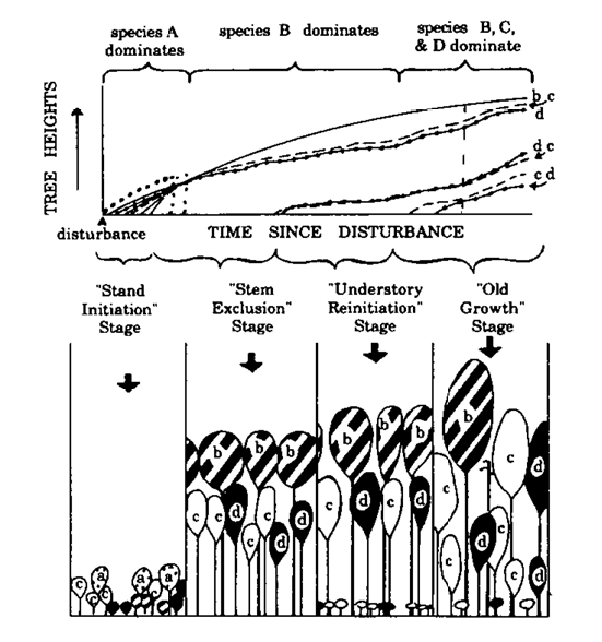 Mike Wulder (@mikewulder) on Twitter photo Want to better understand forest structure & function?
ā”ļøOliver and Larson, 1996. Forest Stand Dynamics, Update edition is now #openaccess & available for download! 519 pages of gold.
š elischolar.library.yale.edu/fes_pubs/1/
Information on how forests grow, compete, & respond to disturbances. Want to better understand forest structure & function?
ā”ļøOliver and Larson, 1996. Forest Stand Dynamics, Update edition is now #openaccess & available for download! 519 pages of gold.
š elischolar.library.yale.edu/fes_pubs/1/
Information on how forests grow, compete, & respond to disturbances.