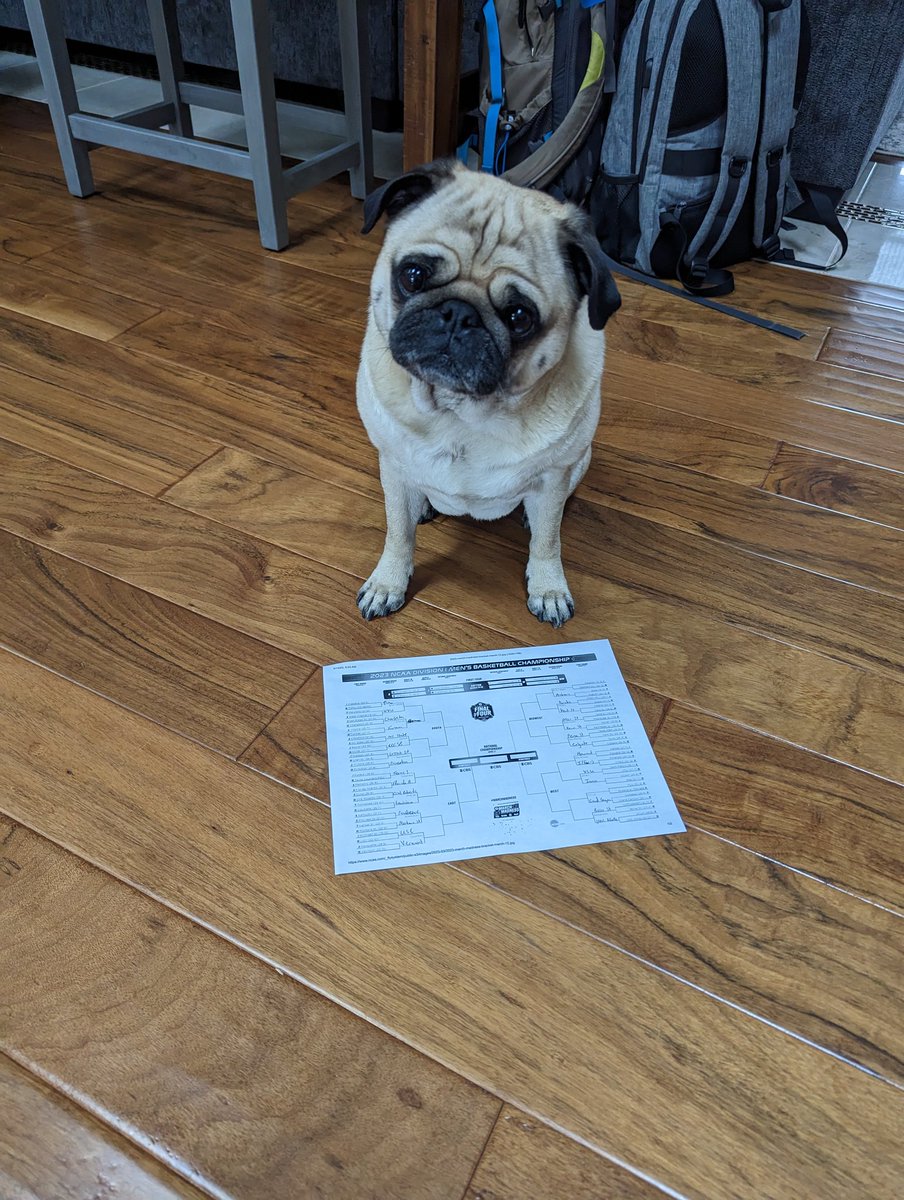 mbspike08's tweet photo. Ollie picked every upset in the first round @PardonMyTake bold strategy @PupPeroni let's see if it pays off for him https://t.co/Ii15ie5ZvD