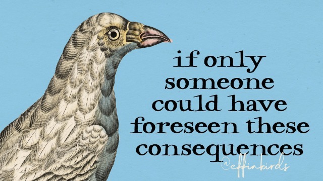 EffinBirds's tweet photo. https://t.co/wFLSgaRAlR