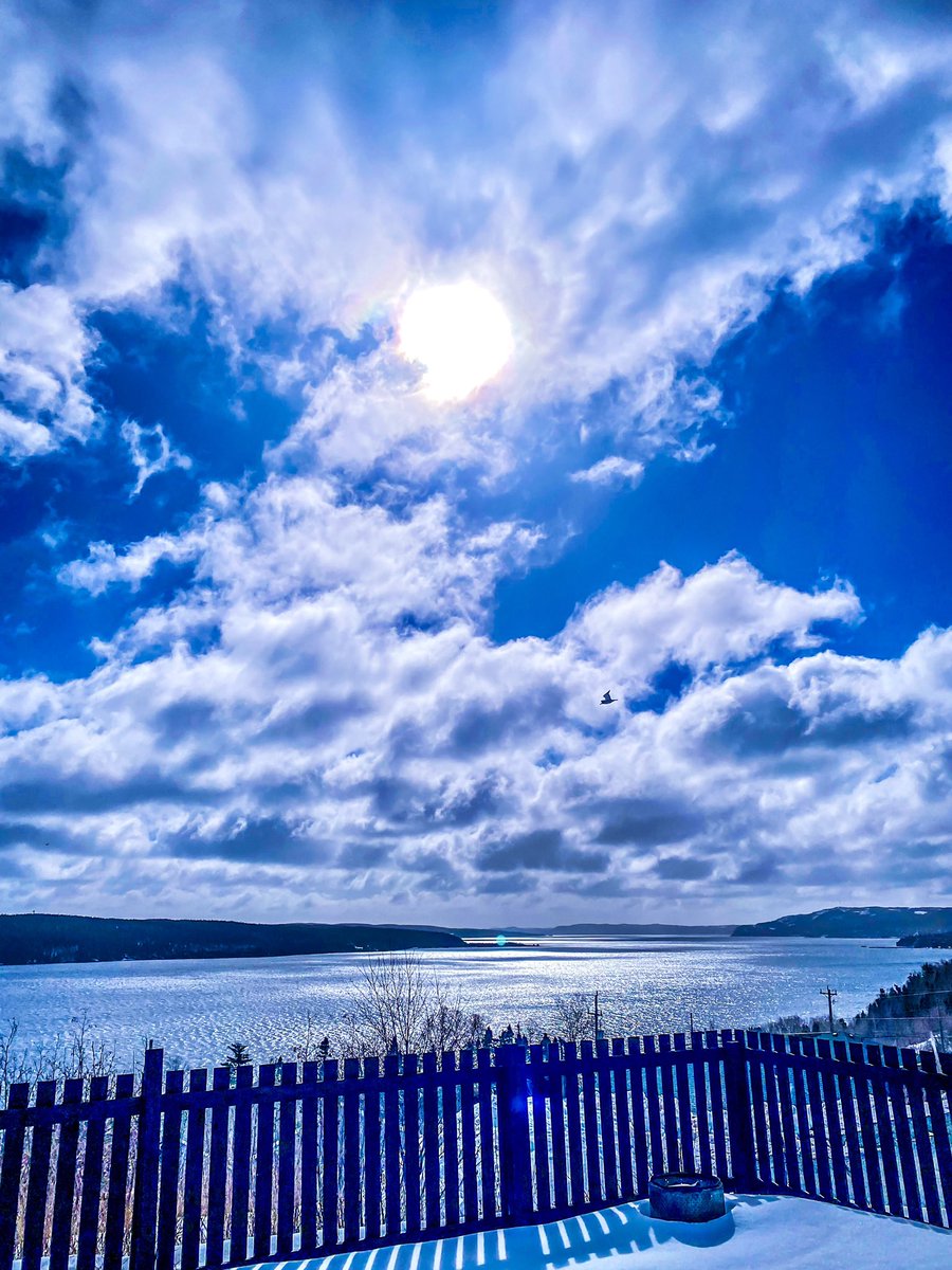 SMillsWiseman's tweet photo. A large day in the bay! #TrinityBay #ShoalHarbour #RandomIsland #Clarenville #ExploreNL #ExploreCanada #NLWX https://t.co/aJ7q9nAx26