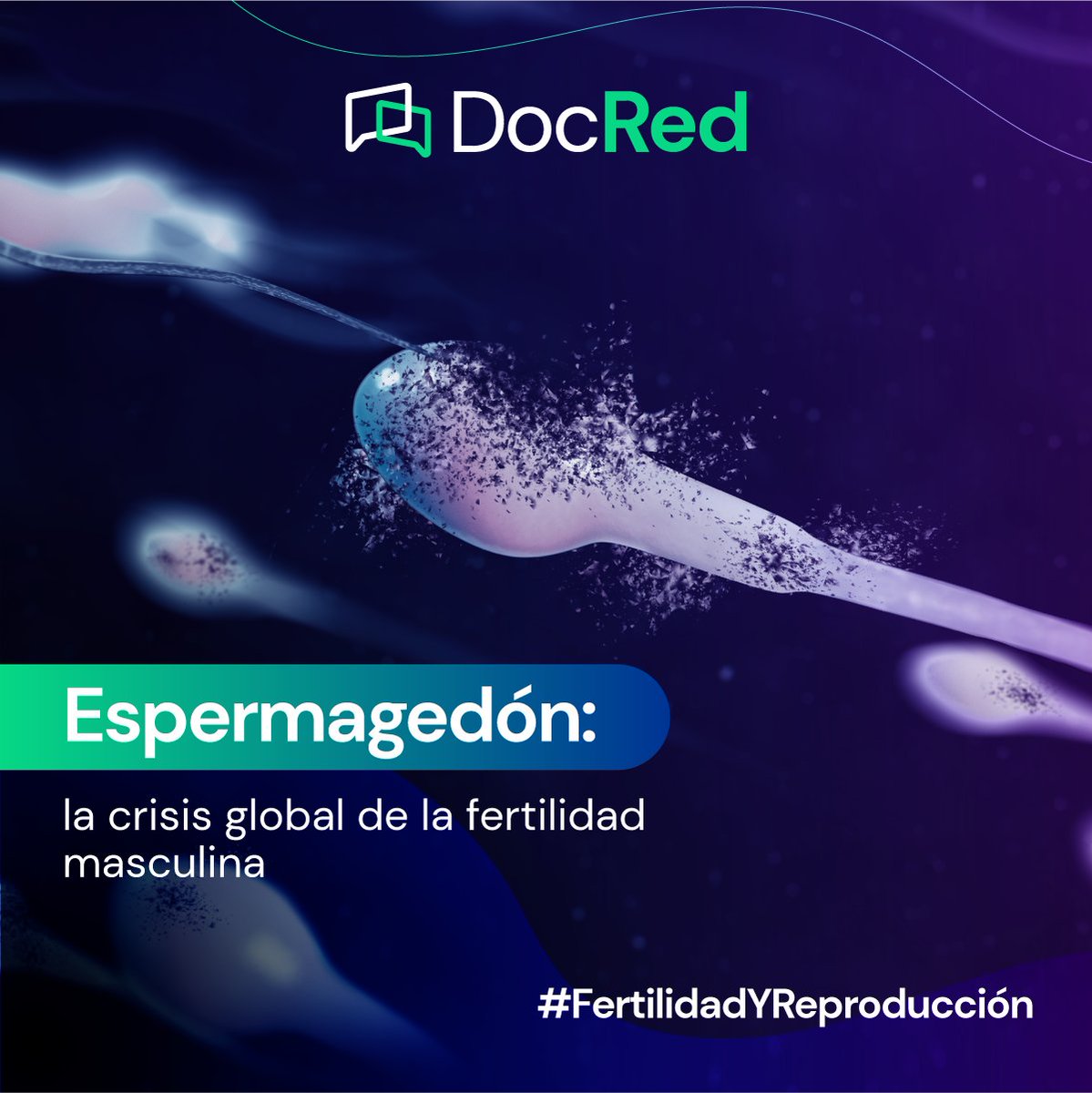 Docredlatam's tweet photo. ¡En marzo hablamos de fertilidad en DocRed! #FertilidadYReproducción 👶🏻

Ir al contenido 👉 https://t.co/2ZCCB78D6n.

#DocRed #fertilidad #reproduccion #infertilidad #ovulo #espermatozoide #mujer #hombre #saludpublica #maternidad #contenidodigital #medtech #comunidad https://t.co/EFmz8pWtP7