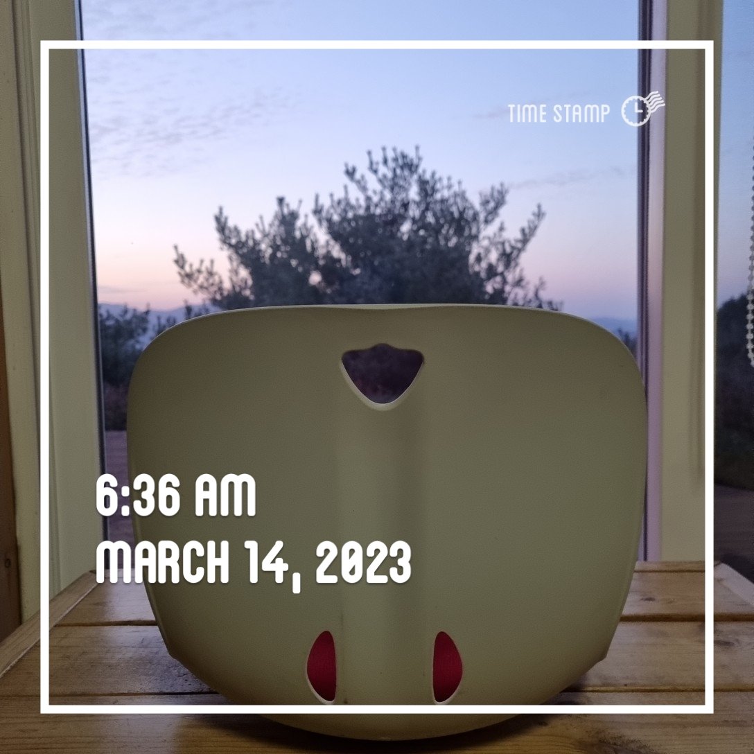 또바기개나리 tweet media