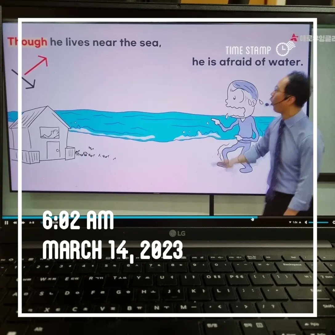 또바기개나리 tweet media