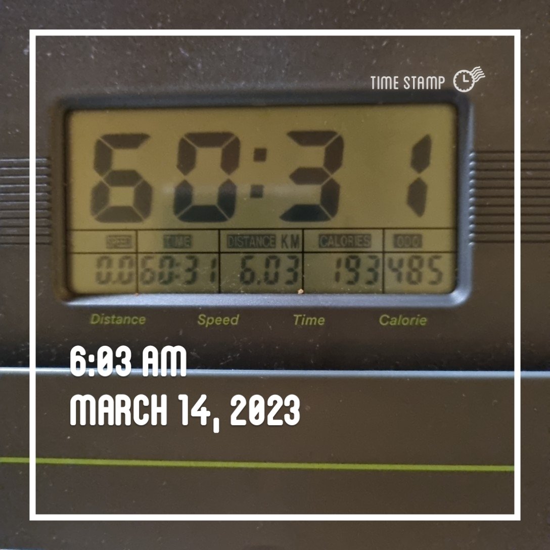 또바기개나리 tweet media