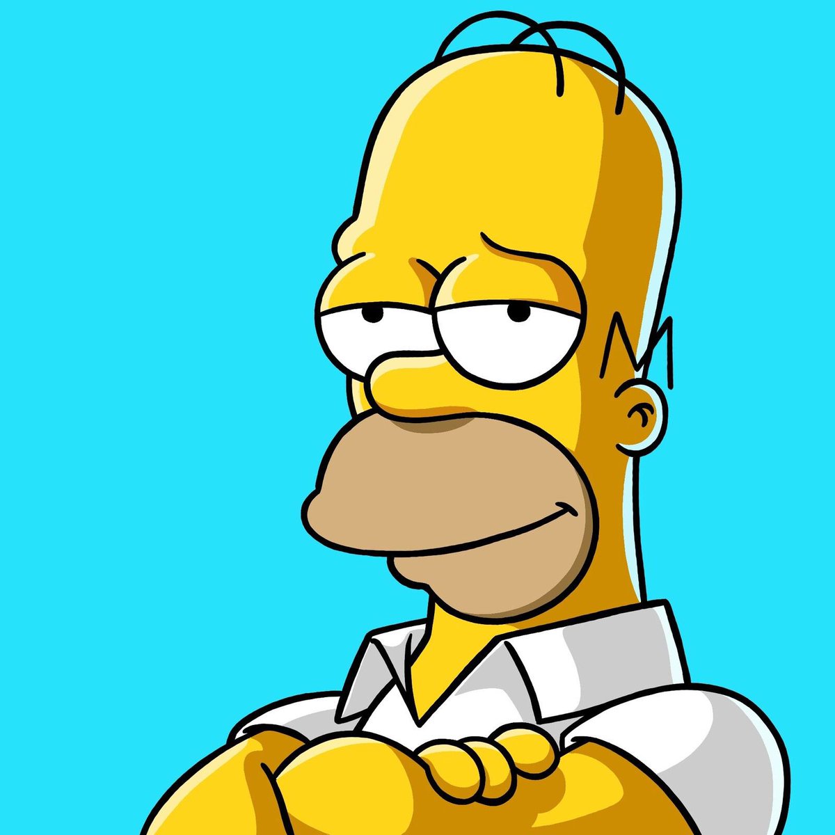 PippoLamberti's tweet photo. @GrandeFratello Ecco dove l'avevo visto...
#homersimpson #donnalisi #Fiordelisi https://t.co/QDgKt7CbjX