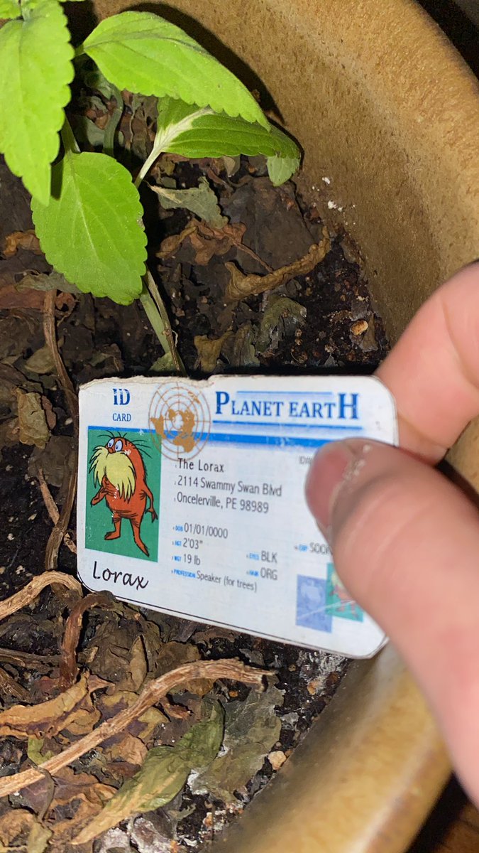 SanadAPES's tweet photo. Decomposed material such as leaves can combine with dirt and fertilizer to make the compost much richer @franklinlorax #apesland https://t.co/HuGBSuCOmQ
