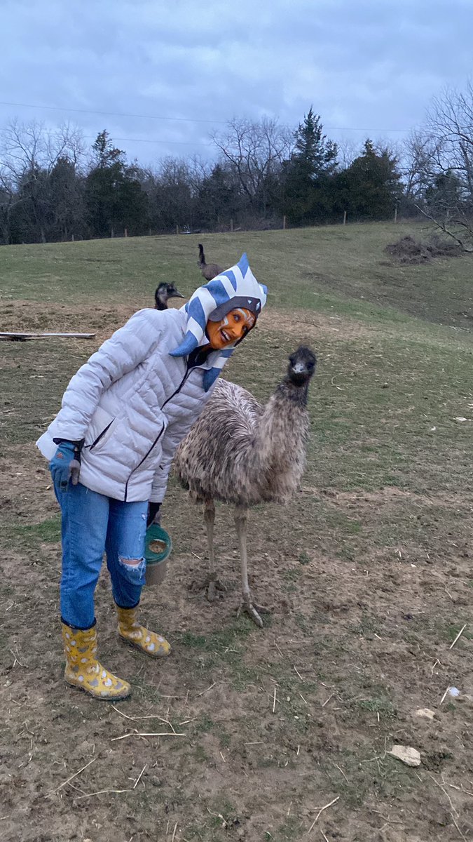 DrRooftopKY's tweet photo. Mrs Rooftop definitely keeps life interesting.
#ThreeArrowsFarm
#ashoka
#starwars
#cosplayfarming https://t.co/pdTk2TaX5c