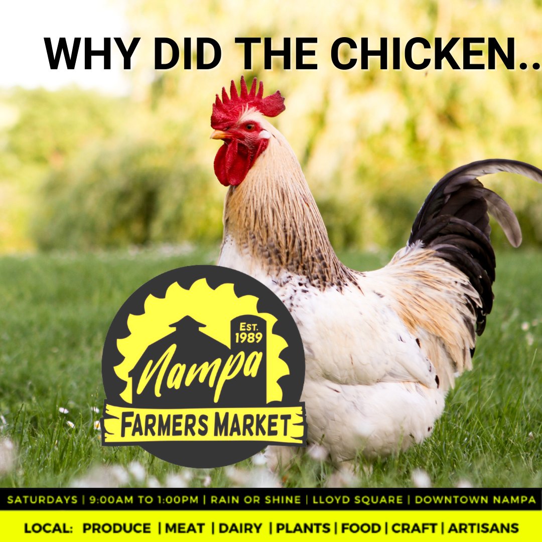NampaFM's tweet photo. q: Why DID the #Chicken Cross the Road? 
a: "Bawk-cauuuuse!"

#Nampa #TreasureValley #Idaho #Hens #Chickens #Roosters #Chicks #Spring #Farmers #Humor #Idahome #CanyonCounty #AdaCounty #CountryLife https://t.co/G3BXARAWXm