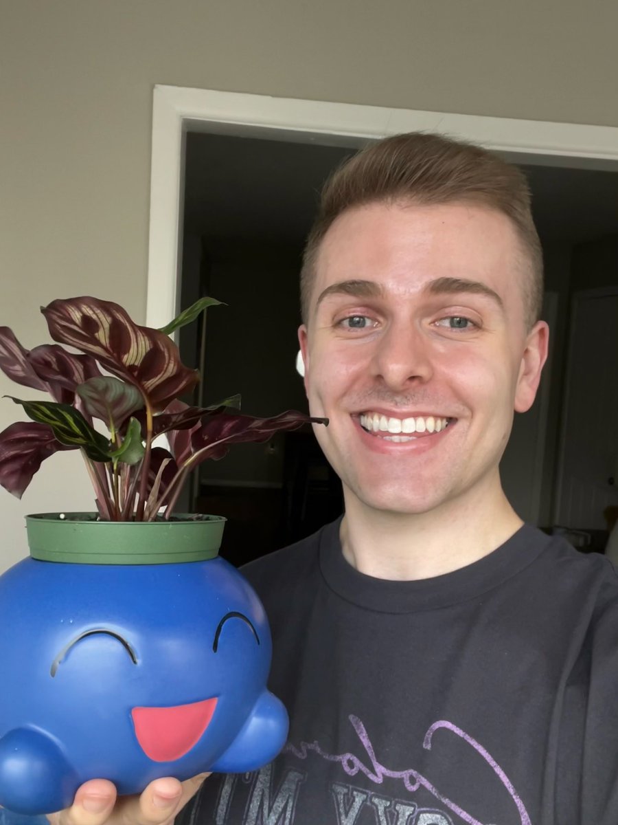 drew_pigg's tweet photo. It’s an Oddish ❤️😵‍💫🥺 https://t.co/WXfjeHFsvR