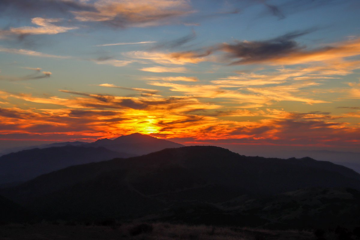 admired_art's tweet photo. Time for another “Under 1K challenge”. Open to anyone with less than 1,000 followers to help smaller accounts get more exposure.

Do you have a picture of a sunset or a sunrise? If so, let me see it. If not, than any animal will do.

I’ll retweet all!. I’ll start. https://t.co/DClrrd8Oq7