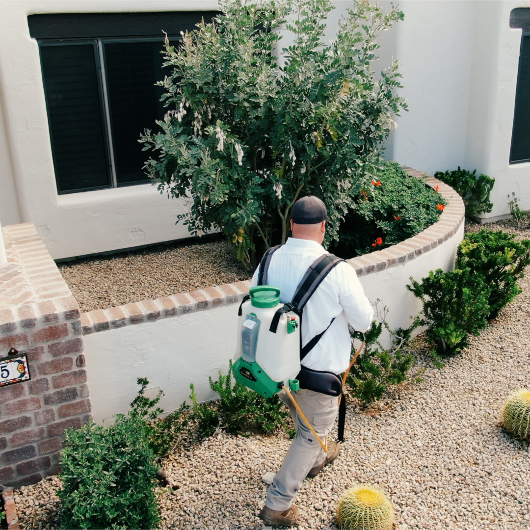 kyko_pest's tweet image. A pest problem can be stressful and overwhelming, but you don't have to face it alone. Our team of pest control professionals in #Phoenix are here to help you every step of the way. Contact us today to get started. #pestsolutions #pestexperts