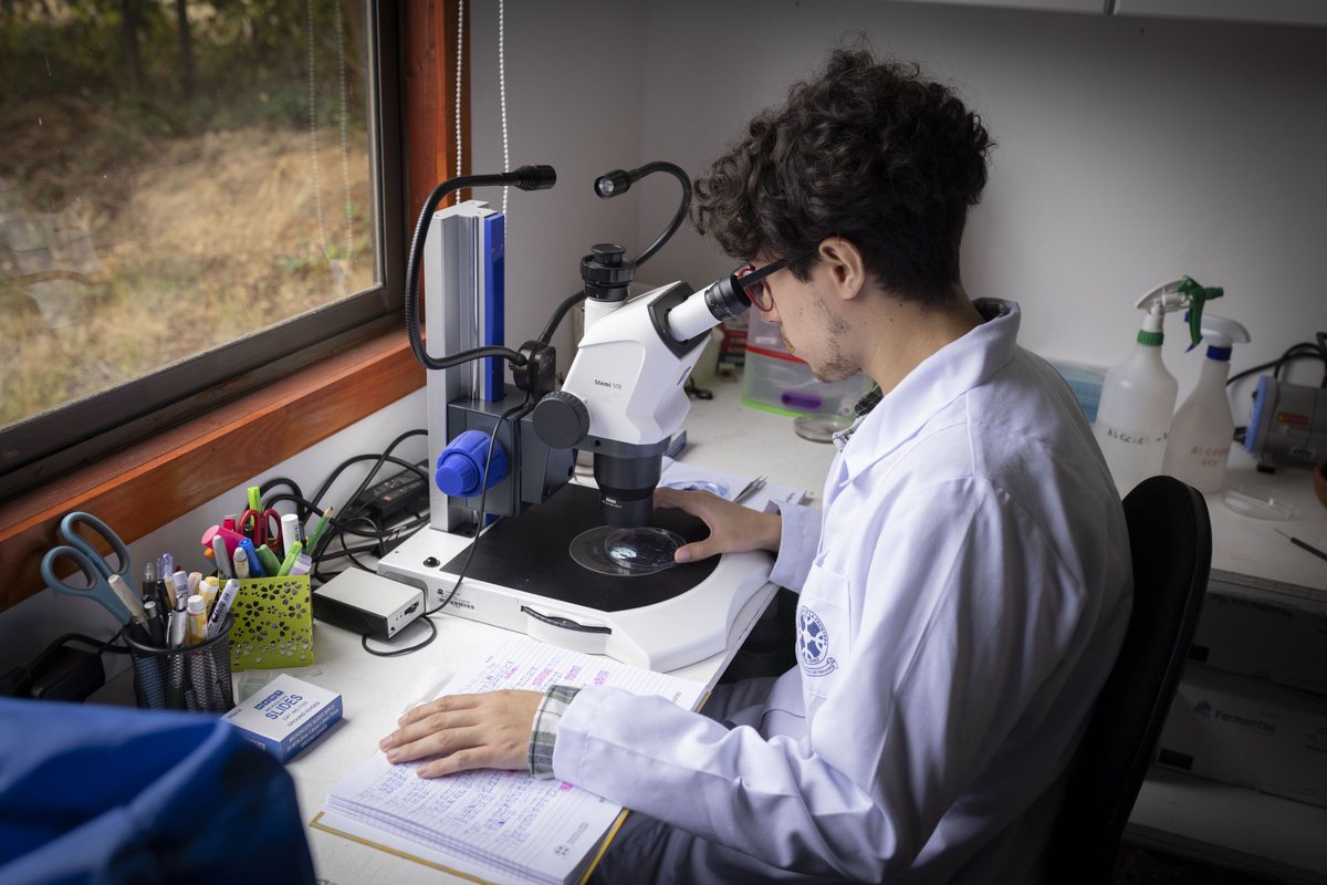 Hoy la seremi <a href="/gaia_stegui/">Maite A. Castro Gallastegui</a> se trasladó hasta la comuna de Freire en la región de #LaAraucanía, para conocer el trabajo de <a href="/myconativa/">Myconativa</a>, empresa que desarrolla biofertilizantes a partir de micorrizas, y que se adjudicó el programa Startup Ciencia 2021 del <a href="/min_ciencia/">Ministerio de Ciencia</a>.