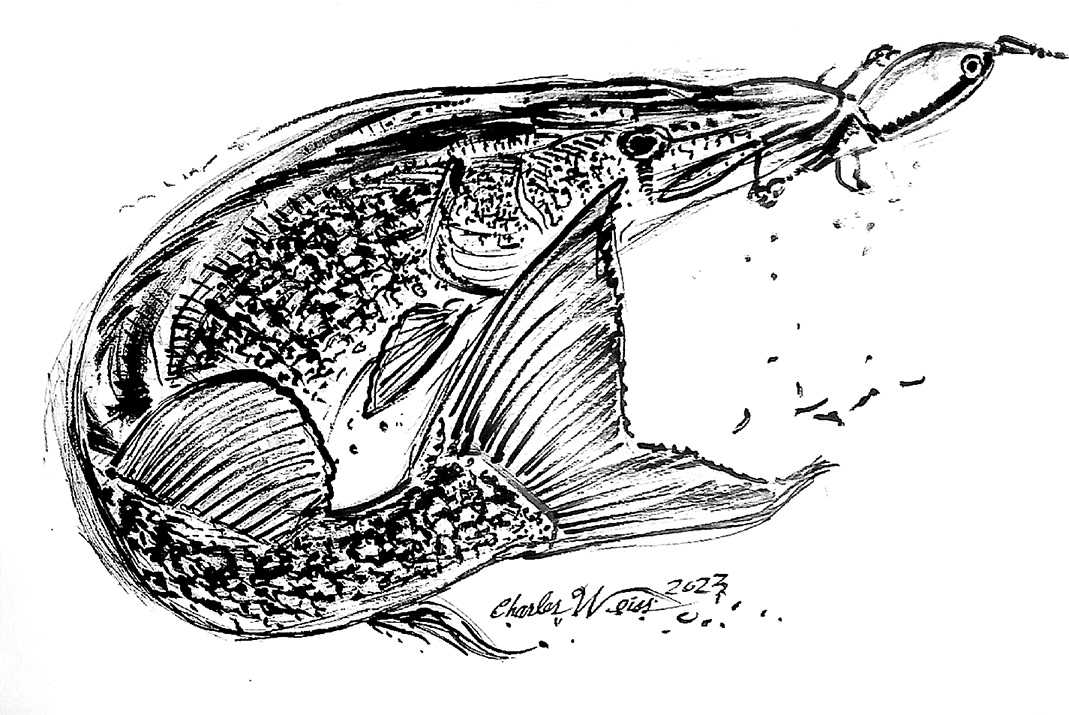 Lunenburg County has a lot of water. Where do you start?

Charles Weiss takes you fishing for chain pickerel at Wentzells Lake: thebarnacle.ca/springtime-fis…