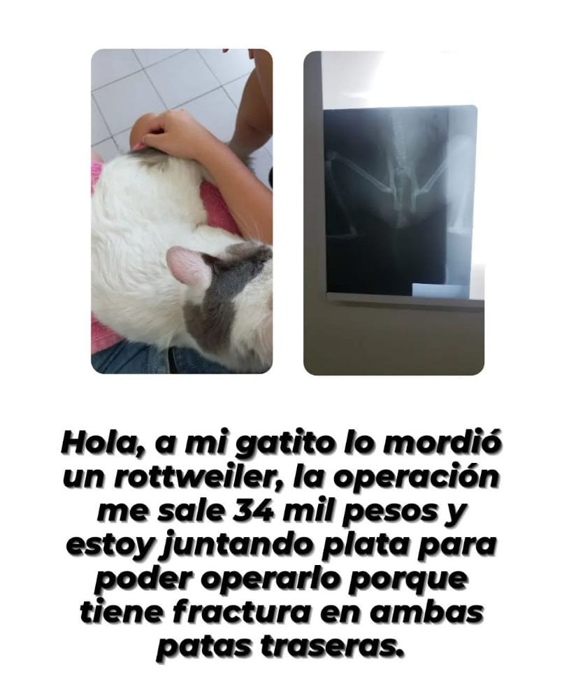 gloriadeflo's tweet photo. hola, si pueden compartir les agradezco de corazón. https://t.co/rUWN5sSro7