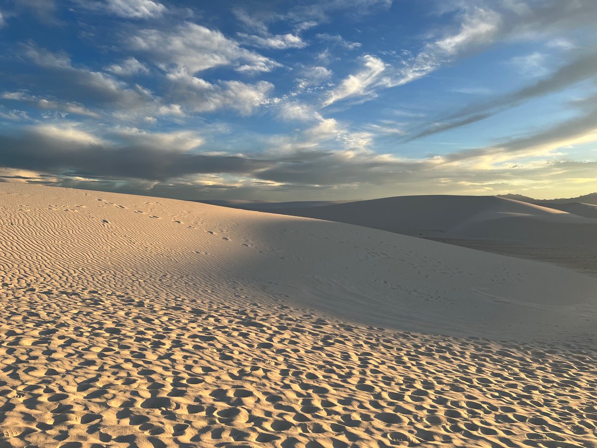 Sophie Silver tweet media