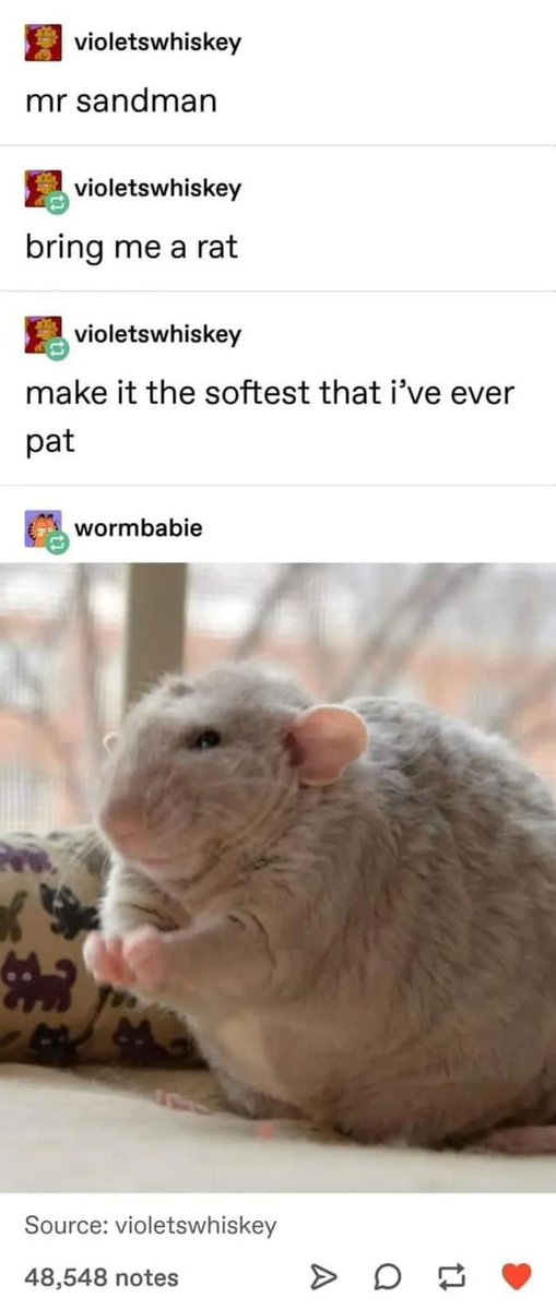 WholesomeMeme's tweet photo. https://t.co/aAa5OH8Sk7