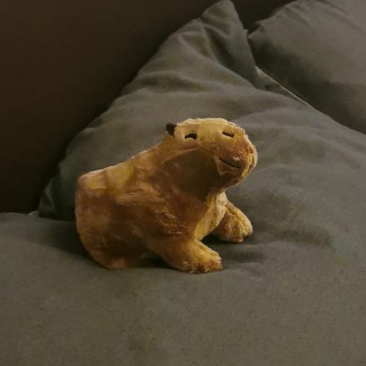 AbyLaren's tweet photo. the best thing ive done so far this year is buy my bf a capybara plush and for him to call it pesto https://t.co/ZdfhIedNsh