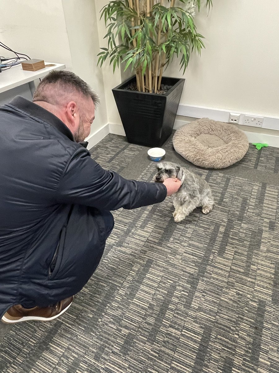 AprilHutchinson's tweet photo. Thanks for having us @OasisTravelNI - first up, Briege and the team at Lisburn branch for #TTGTop50 hearing about so many exciting initiatives 👏👏 with @adrianmarpole and @JDocherty1975 also getting to know four-legged office mascot too 🐾 https://t.co/abT0Fv1mCr