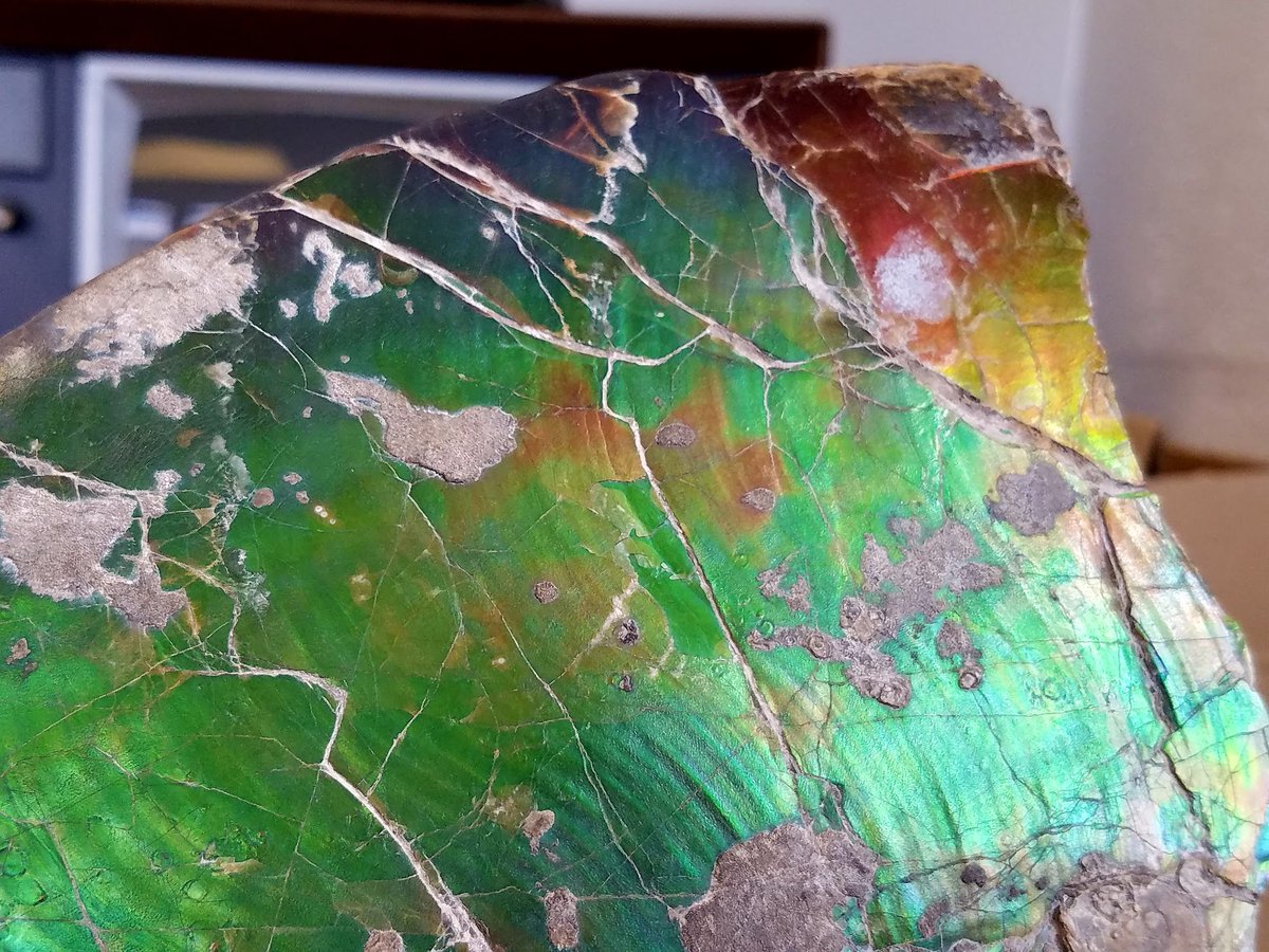 DiatomDiatribes: Embracing Rational Analysis tweet media