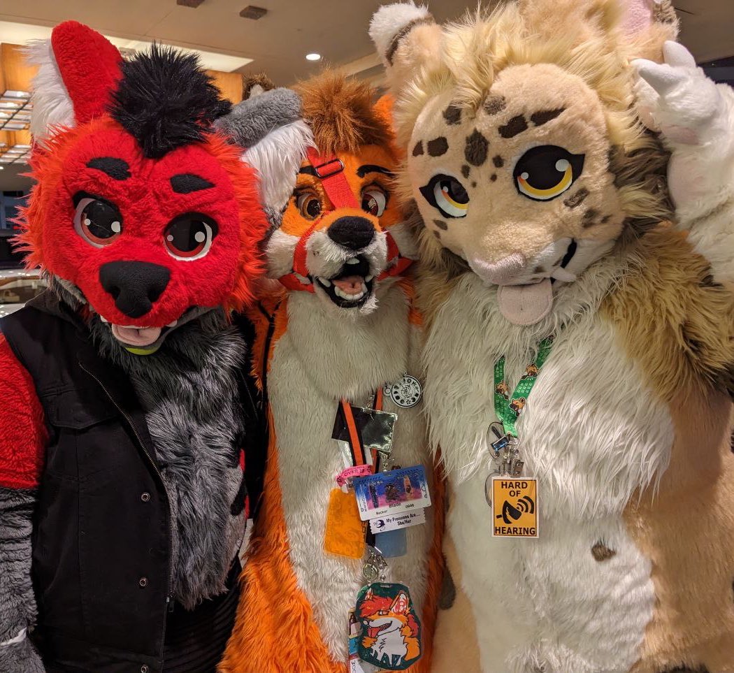 Sushi and foxes ♨️ what a fun weekend 

🍣 <a href="/RealSushiDerg/">Simon (Sushi Derg) 🔜 ANE</a> 
🦊 <a href="/BladeFoxxy/">Blade_The_Fox</a> 
❣️<a href="/CorbinFoxAD/">Corbin @ FD</a>