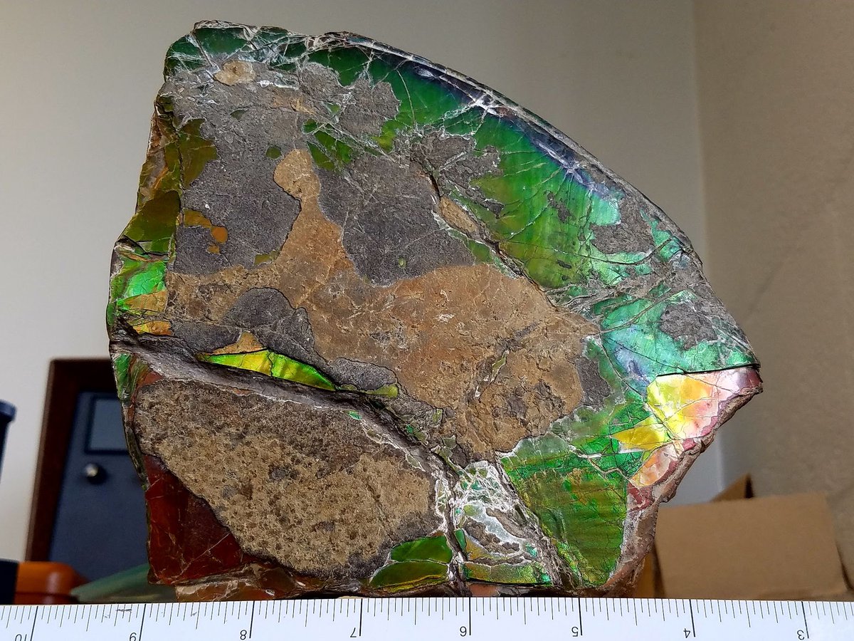 DiatomDiatribes: Embracing Rational Analysis tweet media