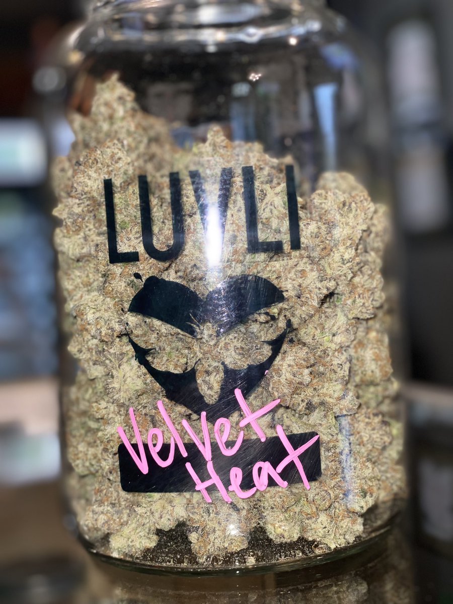 thecdcpdx's tweet photo. Introducing the #strainoftheweek and your #mondaymotivation ๐
#memberville #thecdc #pdx #oregon #cannabiscommunity https://t.co/SUBp8gS1O4