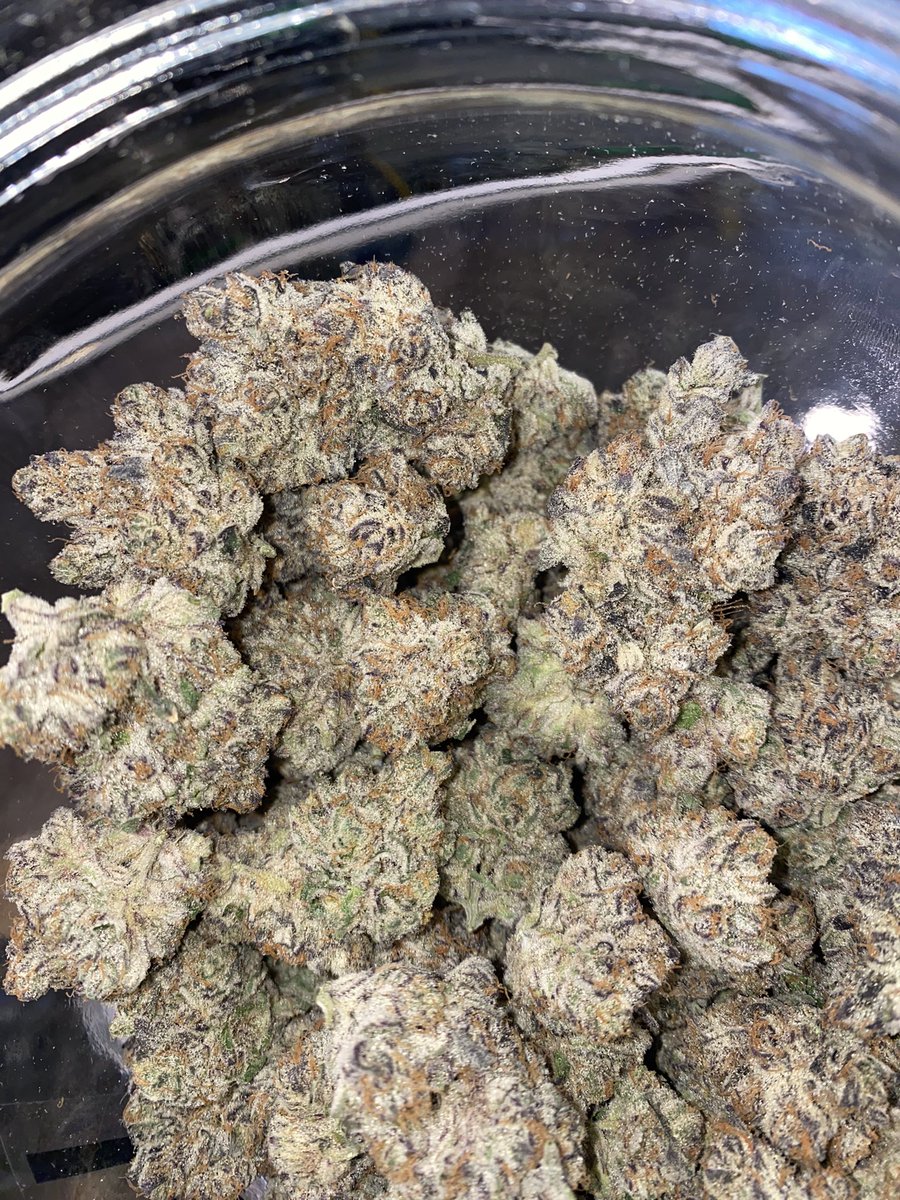 thecdcpdx's tweet photo. Introducing the #strainoftheweek and your #mondaymotivation ๐
#memberville #thecdc #pdx #oregon #cannabiscommunity https://t.co/SUBp8gS1O4
