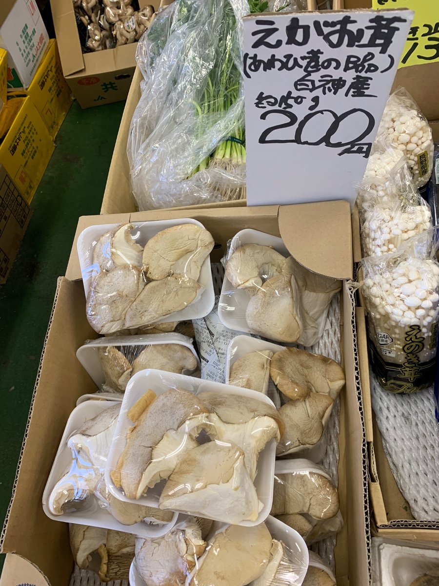 nakatasyouten1's tweet photo. 3/14white day
あつみのかりん糖、中田商店のドライフルーツでささやかなプレゼントを🎁
様々なシーンでお使いください。
#ドライフルーツ #dryfruits #semidry #semidryfruits #中田商店のドライフルーツ #無添加 #無加糖 #ホワイトデー #whiteday #様々なシーンに https://t.co/WlLI5VEMYR