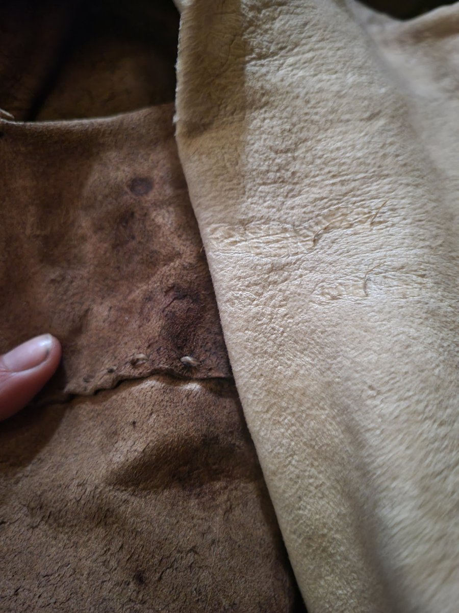 Carleyrabbit's tweet photo. Black walnut stained buckskin vs. Regular braintanned buckskin. Which is your favorite?
#braintanned #buckskin #walnut #blackwalnut #deerhide #buckskinclothes #clothing #nature #natural #naturalclothing #sustainable #handmade #leather #sustainablefashion #deer #artists #art https://t.co/9z92PSxut4