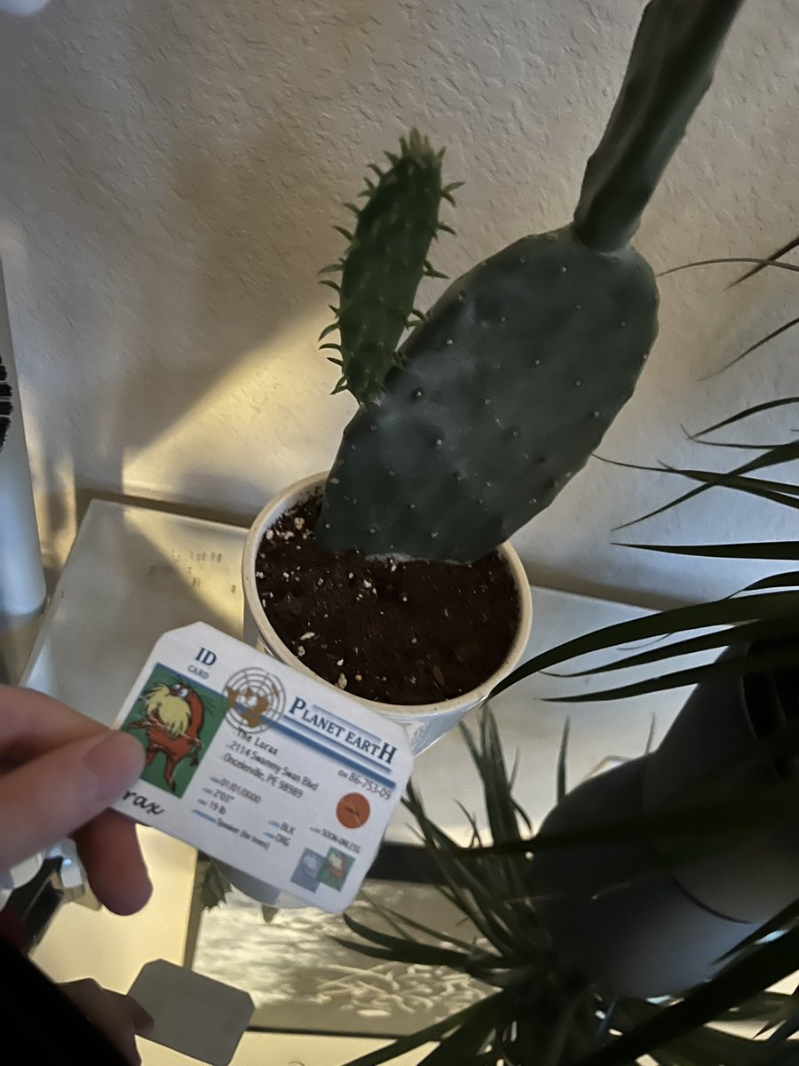 yusufapes's tweet photo. cactuses live in soil with a PH of 5.5-6.5.Since cactuses like to live in dryer conditions, there only watered frequently @franklinlorax #apesland https://t.co/oyOWCwyCtT