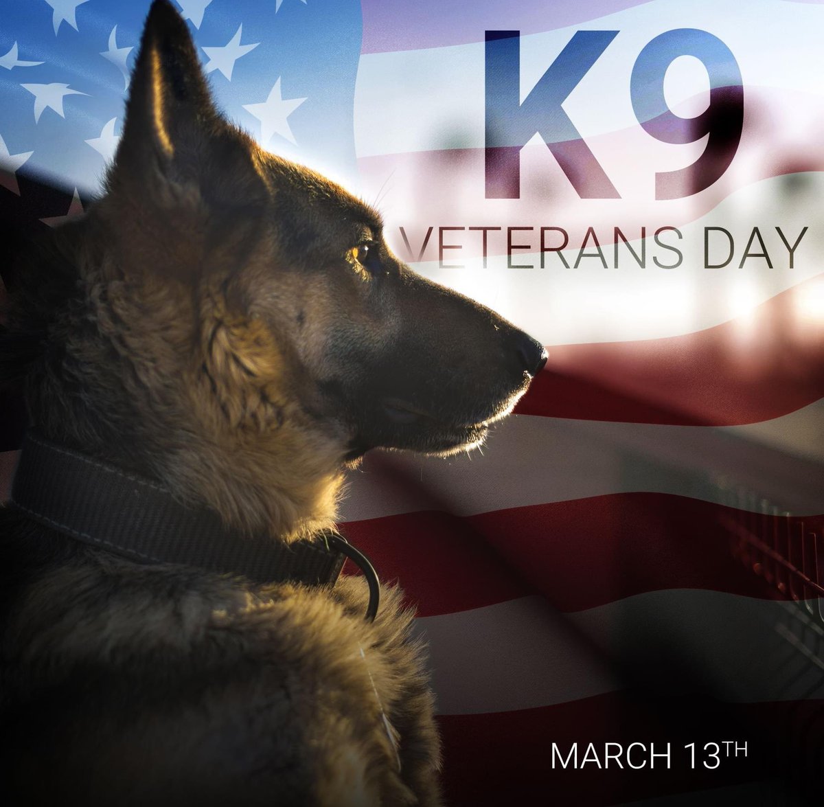 DTC_USA's tweet photo. Today is National K9 Veterans Day, a day set aside to honor the service and sacrifice of American working dogs. We salute the good dogs that serve alongside our police, emergency responders &amp; military personnel. #K9VeteransDay https://t.co/G1uko9onzG