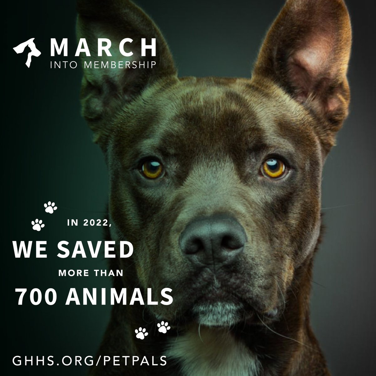 GHHS.org/petpals 🐾