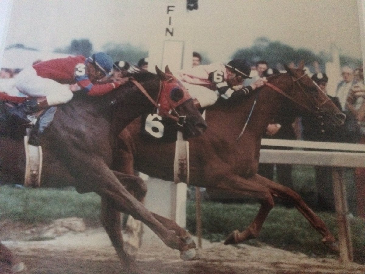 <a href="/fmkray/">Fred Kray Author BROKEN-Suspicious Death of Alydar</a> Affirmed crosses the wire first but is DQd for crowding.   Alydar is the official winner.  Could you imagine how HR twitter would have blown up if it existed
(I purchased this photo when I was 13 and I still have it)